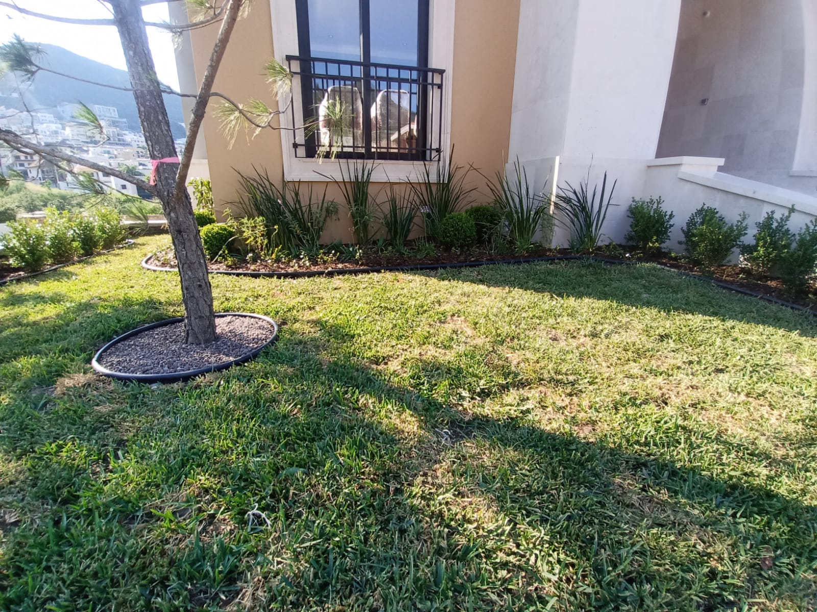 Jardín natural en acceso residencial